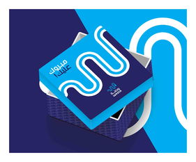 wasla 融合科技與潮流的電子產(chǎn)品品牌形象設(shè)計